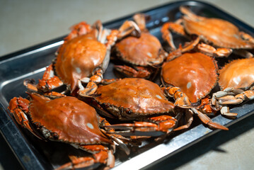 plate of fresh Redspot swimming crab