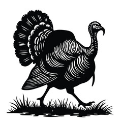 Black silhouette of a turkey walking in grass bird 3
