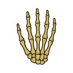 skeleton hand with a vintage feel, perfect for Halloween themes, anatomical education, or adding a touch of the macabre to designs. isolated vector illustration.