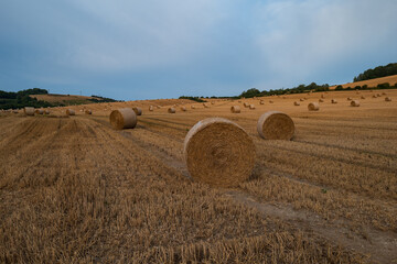 krajobraz rolniczy © Mariusz