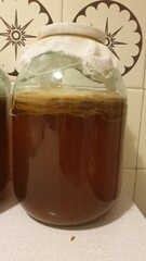 
jar, kombucha, table, wall, tile, kitchen, gauze