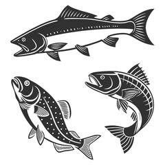 Shrimp Pattern Vector Graphic Design