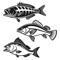 Shrimp Pattern Vector Graphic Design