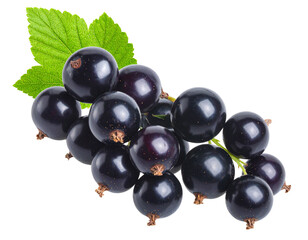 Fototapeta premium Blackcurrants on the Branch Fresh Fruit Isolated on Transparent Background PNG