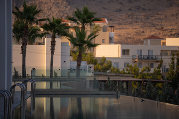 Luxurious resort pool with palm trees and sunset mountain views and swallows on the railing
