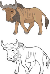 wildebeest, coloring page for kids