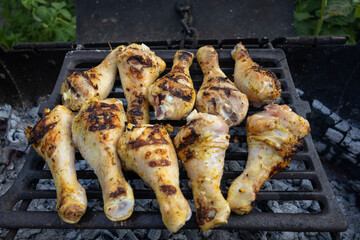 Backyard barbecue scene with racks of chicken drumsticks over hot coals and rising smoke; ideal for lifestyle, event, hospitality and seasonal food marketing emphasizing warmth and conviviality