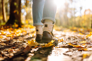The feet of a traveler in hiking boots walk along a forest path strewn with colorful autumn leaves. A woman walks through an autumn forest at sunset. Hiking concept, seasonality.