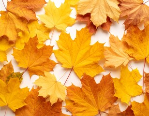 Obraz premium Generated image 赤や黄色に色づいたメープルリーフ 落ち葉 フラットレイ 暖かい光 秋 背景素材