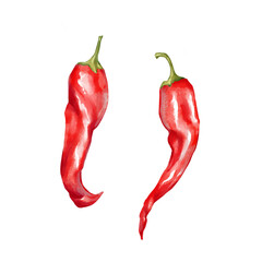 Hand-drawn illustration featuring two red chili peppers. Perfect for spicy food themes and vibrant culinary designs