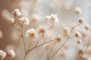 Delicate dried flowers in soft pastel colors