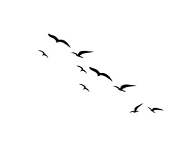 Elegant flock of flying bird silhouettes design for tattoo and logo use