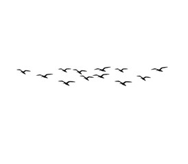 Elegant flock of flying bird silhouettes design for tattoo and logo use