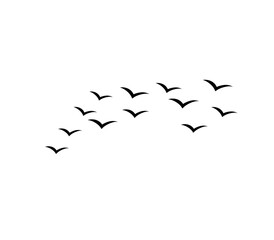Flying bird silhouettes vector set of flock in motion for tattoo and nature art