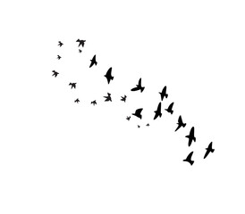 Flying bird silhouettes vector set of flock in motion for tattoo and nature art