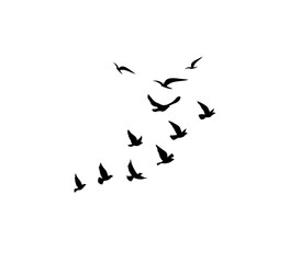 Flying bird silhouettes vector set of flock in motion for tattoo and nature art