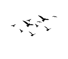 Flying bird silhouettes vector set of flock in motion for tattoo and nature art