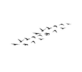 Flying bird silhouettes vector set of flock in motion for tattoo and nature art
