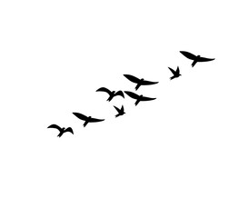 Flying bird silhouettes vector set of flock in motion for tattoo and nature art