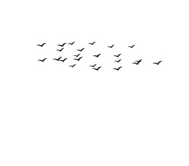 Flying bird silhouettes vector set of flock in motion for tattoo and nature art