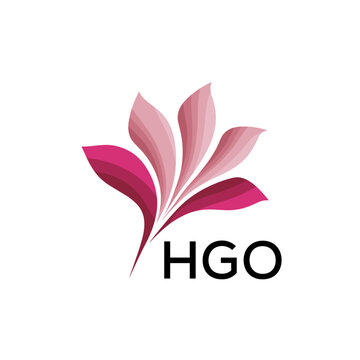 HGO Modern Floral Abstract Logo Design, HGO Later Logo, Creative Botanical Brand Identity
