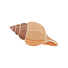 Natural Brown Seashell Conch with Spiral Pattern on Isolated transparent background