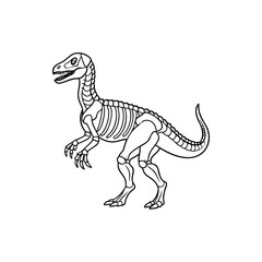 A captivating line drawing of a velociraptor skeleton against a white background silhouette Vector 