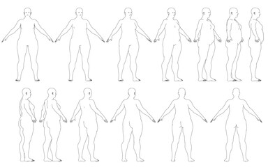 A set of full-figured women in various poses, drawn in black and white contour lines on a clean white background, illustrating human anatomy.