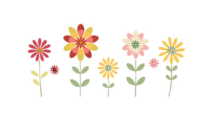 Colorful flowers with green leaves floral nature © BOY