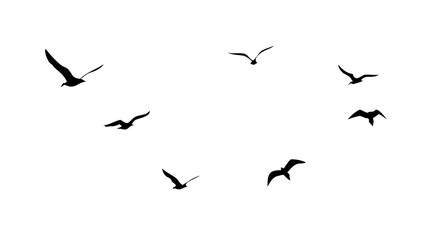 Flock of Birds in Flight flying silhouette