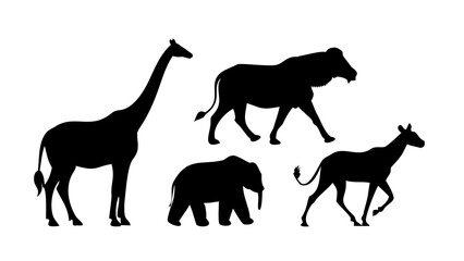 Majestic Stag Silhouette deer animal