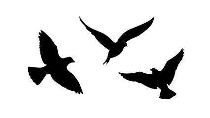 Minimalist Black Silhouette of a Horse animal