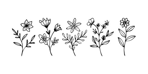 Simple floral doodle elements line art botanical