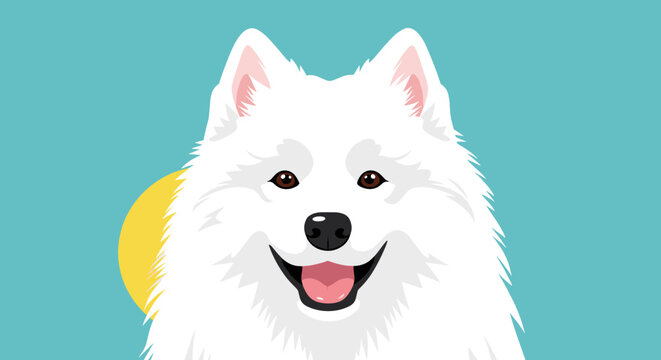 Adorable smiling white samoyed dog portrait with bright yellow sun and teal background
