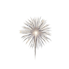 Obraz premium bright firework burst.