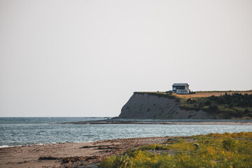 Raccoons sitting on a fence