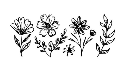 Hand Drawn Botanical Elements Collection floral leaves