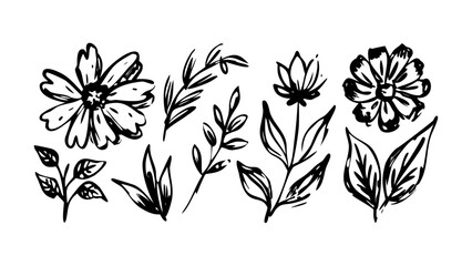 Hand Drawn Botanical Elements floral leaves
