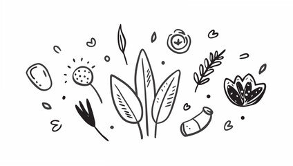 Hand drawn floral elements and leaves doodle botanical