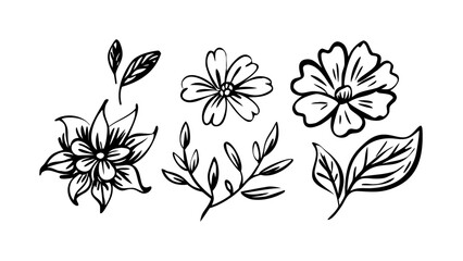 Hand Drawn Ink Flowers and Leaves Botanical Collection floral