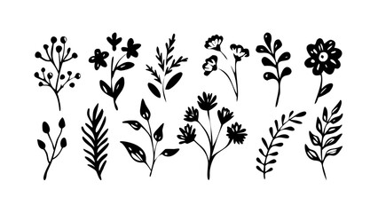 Simple hand drawn floral outlines with transparent background illustration