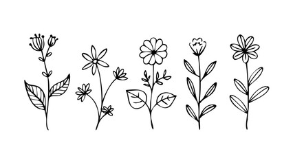 Simple Line Art Floral Elements doodle botanical