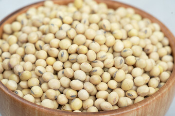 Soy is an important plant protein extract suitable for vegetarians