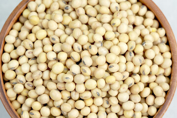 Soy is an important plant protein extract suitable for vegetarians