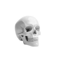 Fototapeta premium Detailed white skull representing human anatomy and mortality.