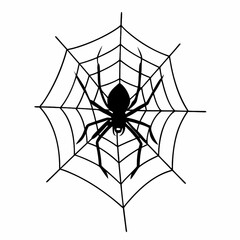 Fototapeta premium spider and web net