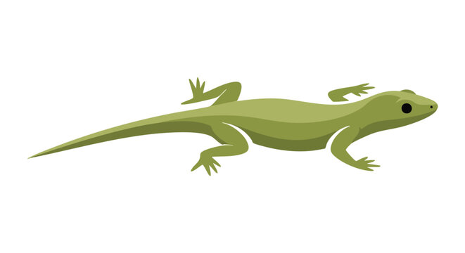 Stylized lizard illustration with a smooth skin texture and a pointed tail displayed on a clean white background
