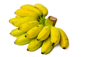 Photo of lady finger banana taken with a high-resolution camera using the focus-stacking technique on a white background.