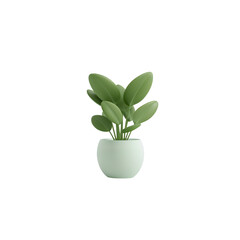 Simple green leafy houseplant in white pot against stark transparent void setting