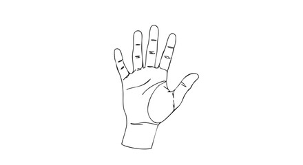 Obraz premium Hand gesture illustration, a simplistic representation on a clean white backdrop perfect for demonstrating human anatomy, line drawing anatomy study